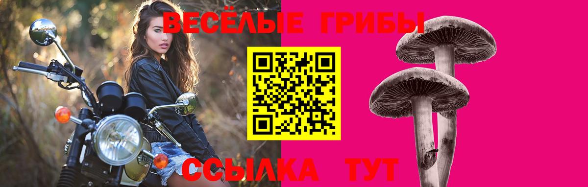 Галлюциногенные грибы мицелий  Вход с VPN  Гурьевск  Галлюциногенные грибы мицелий 